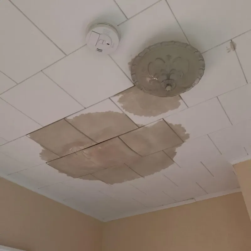 Ceiling Water Damage Repair in Northwest Harwich, MA